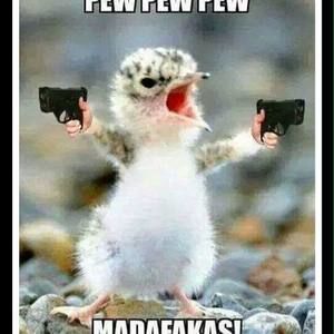 Meet your Posher, Patrick